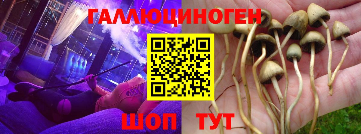 Галлюциногенные грибы MAGIC MUSHROOMS Борисоглебск