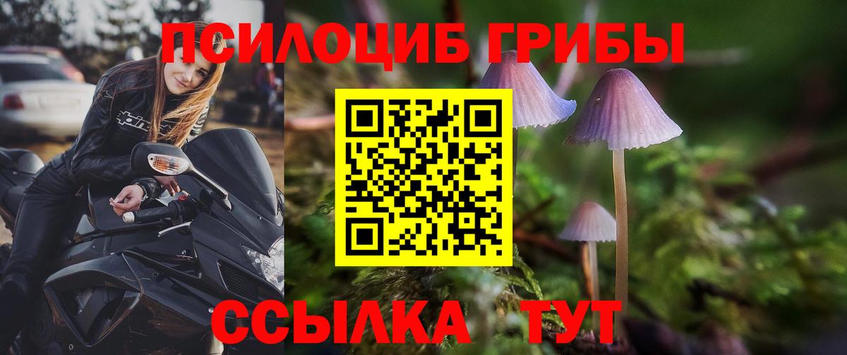 Борисоглебск  Псилоцибиновые грибы MAGIC MUSHROOMS  Вход с VPN  Псилоцибиновые грибы MAGIC MUSHROOMS 